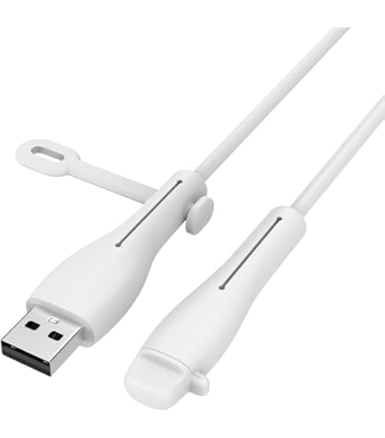 [美品] iPad pro 本体 充電ケーブル　カバー付き 美品] iPad pro 本体 充電ケーブル カバー付き 限定色非売品 M4 iPad